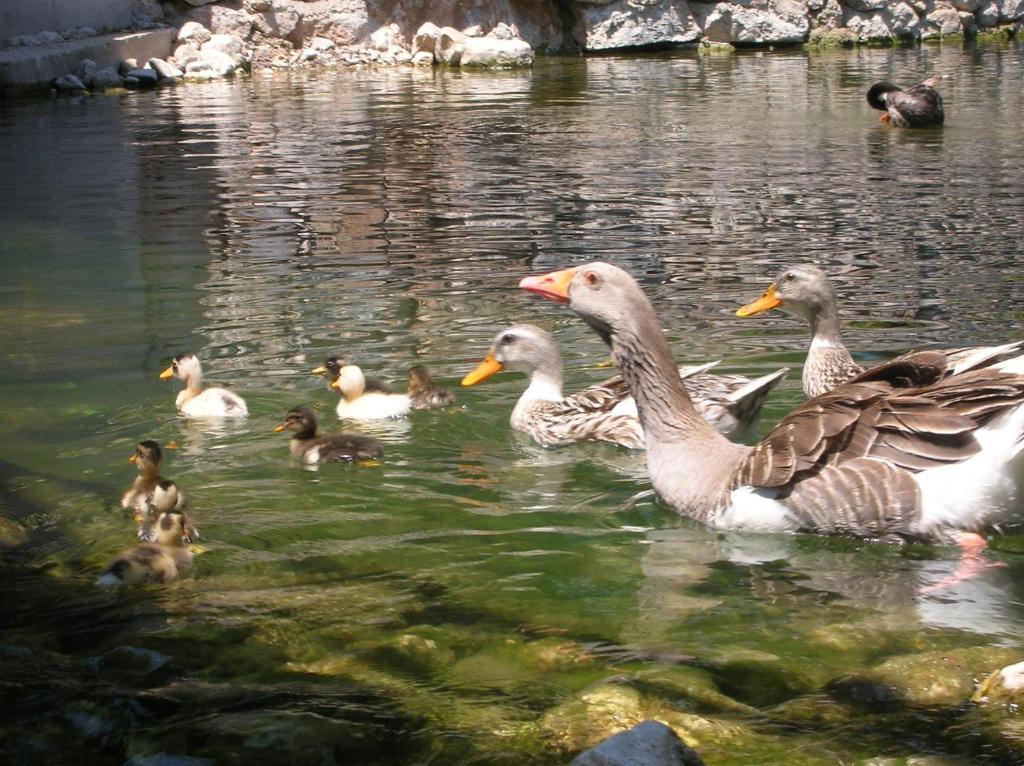 Adrasan River Hotel Kumluca Bagian luar foto